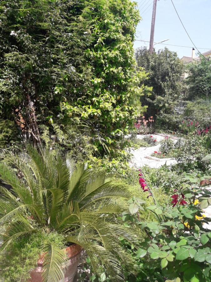 Garden House In Corfu Villa Corfu  Kültér fotó